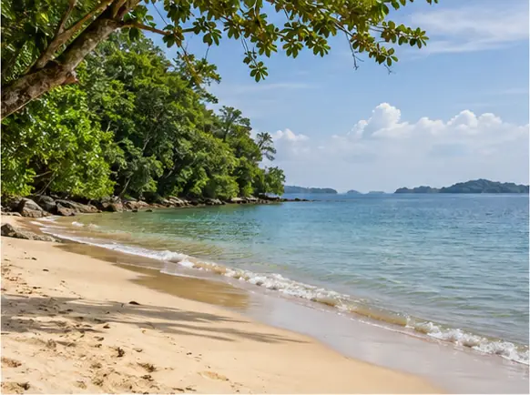 Coastal trail and beach vegetation on Coney Island Singapore