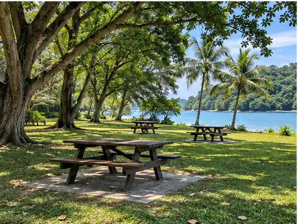 Picnic lawn beneath trees at St John’s Island